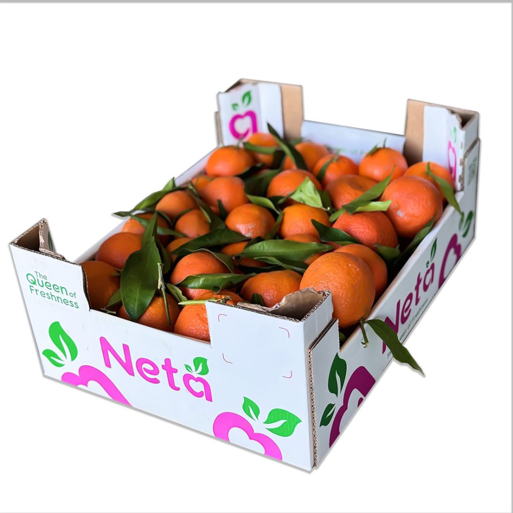 Shop Secondary Image Shop Secondary Image