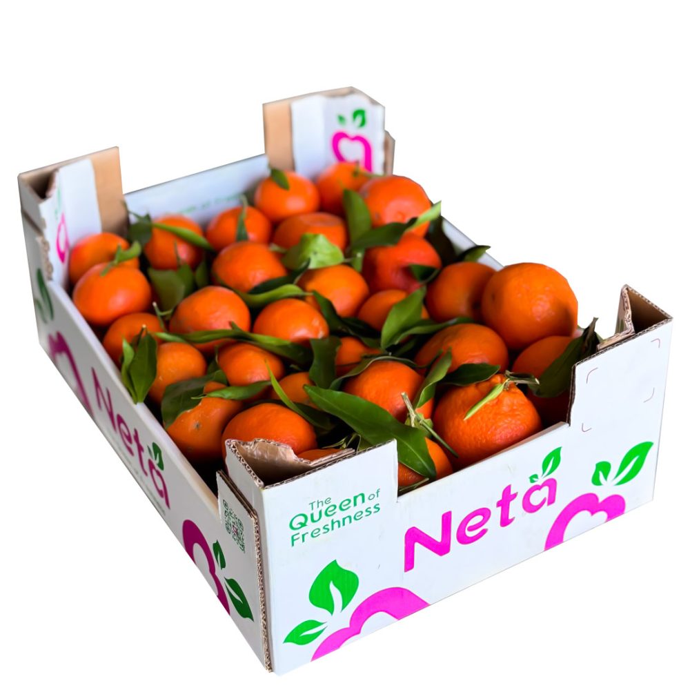 Shop Primary Image Shop Primary Image