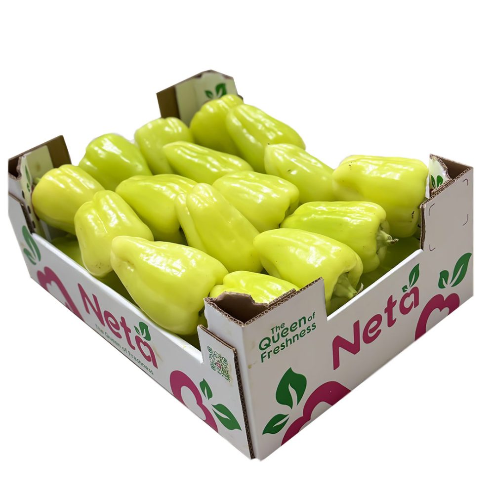 Shop Primary Image Shop Primary Image