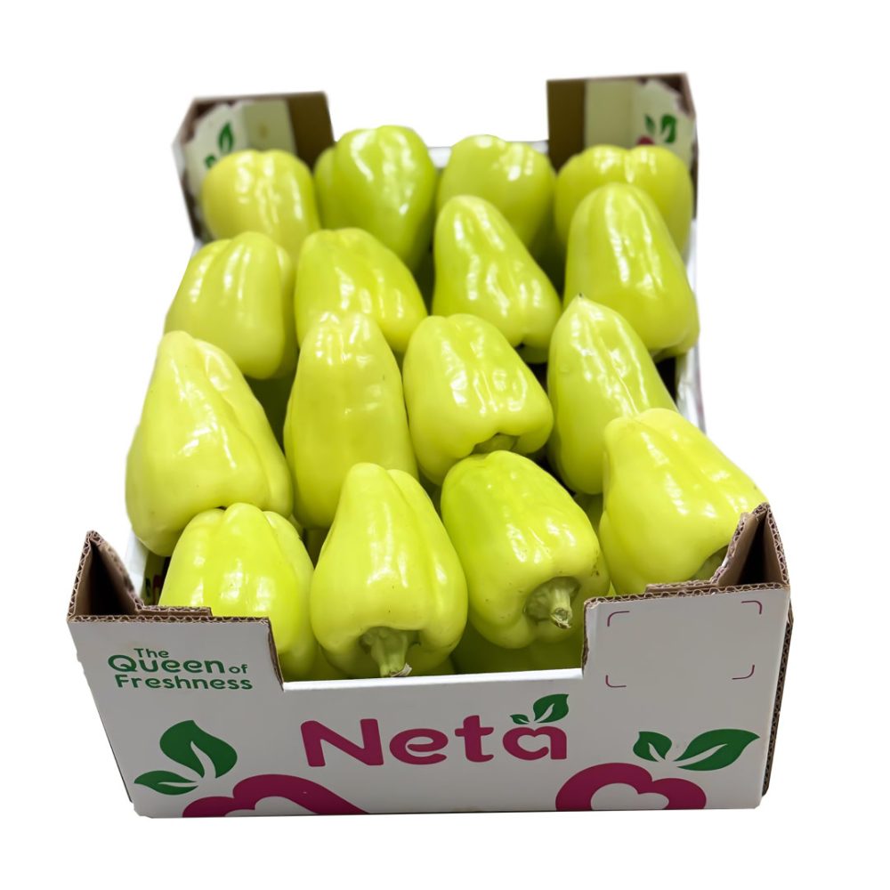 Shop Secondary Image Shop Secondary Image