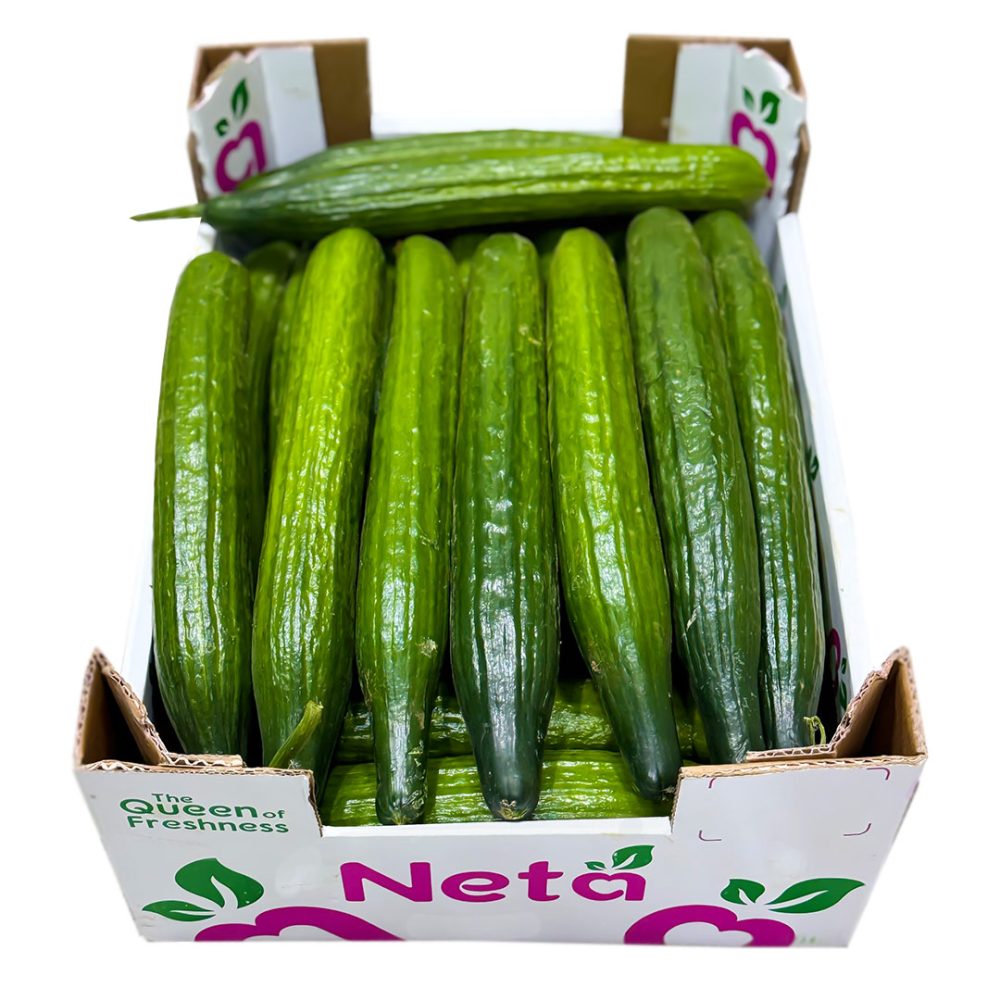 Shop Secondary Image Shop Secondary Image