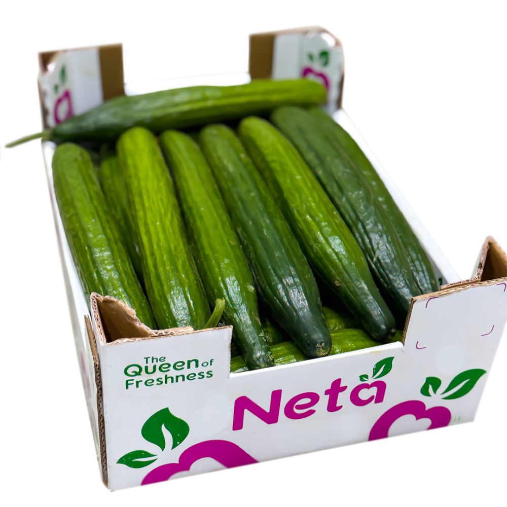 Shop Primary Image Shop Primary Image