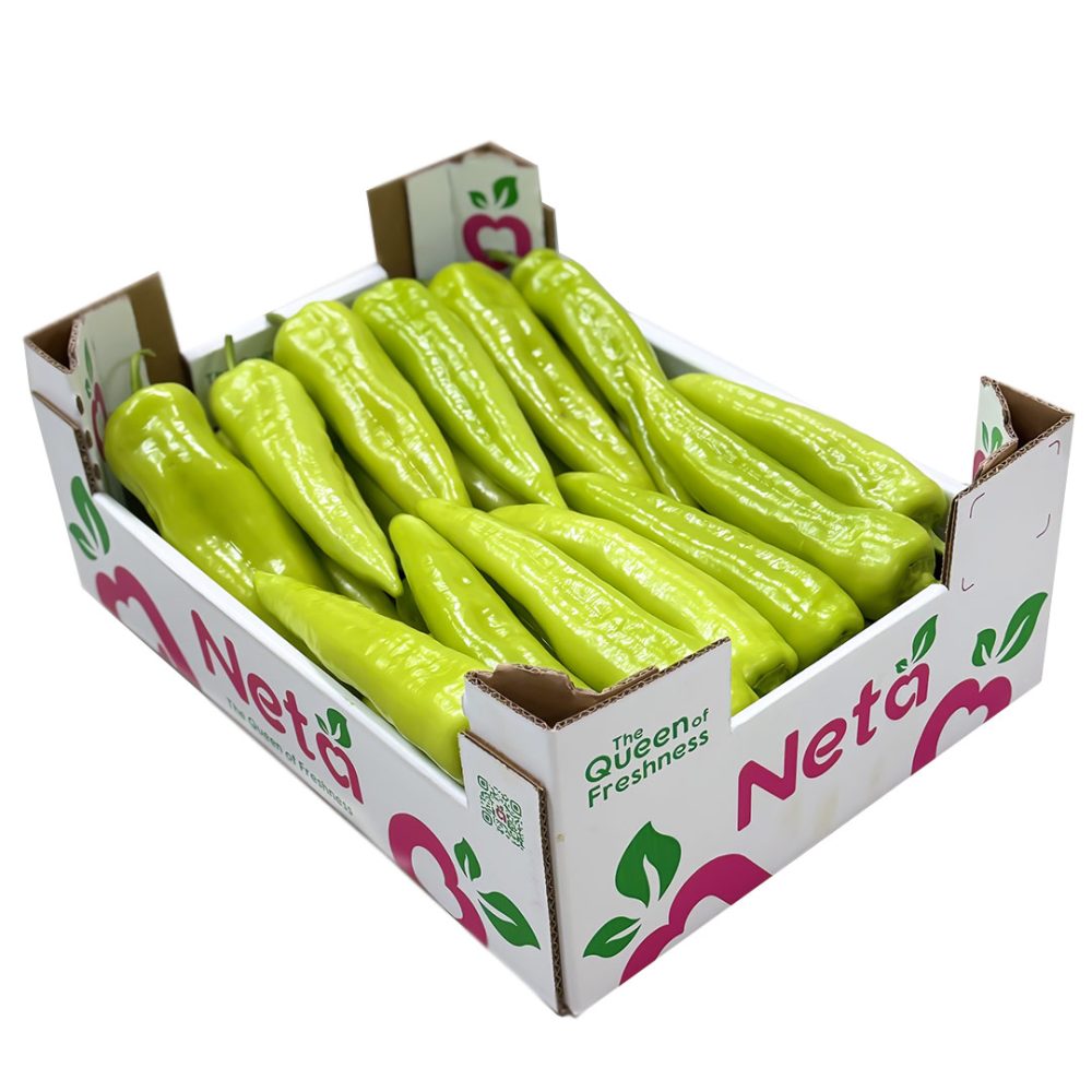 Shop Primary Image Shop Primary Image