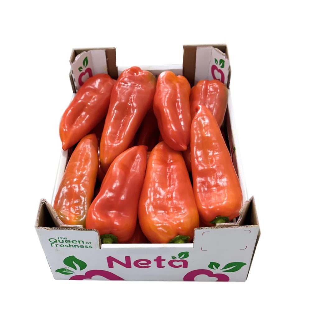 Shop Secondary Image