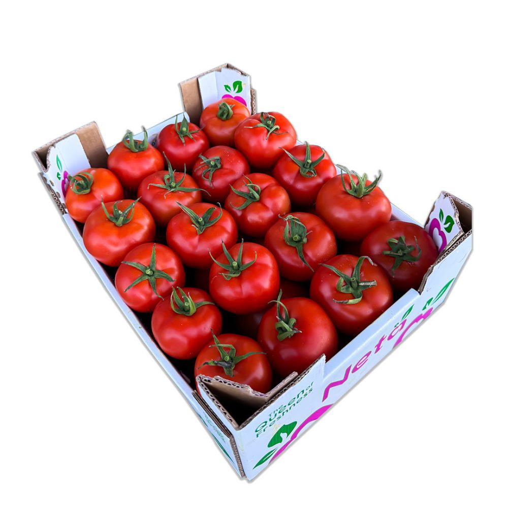 Shop Primary Image Shop Primary Image