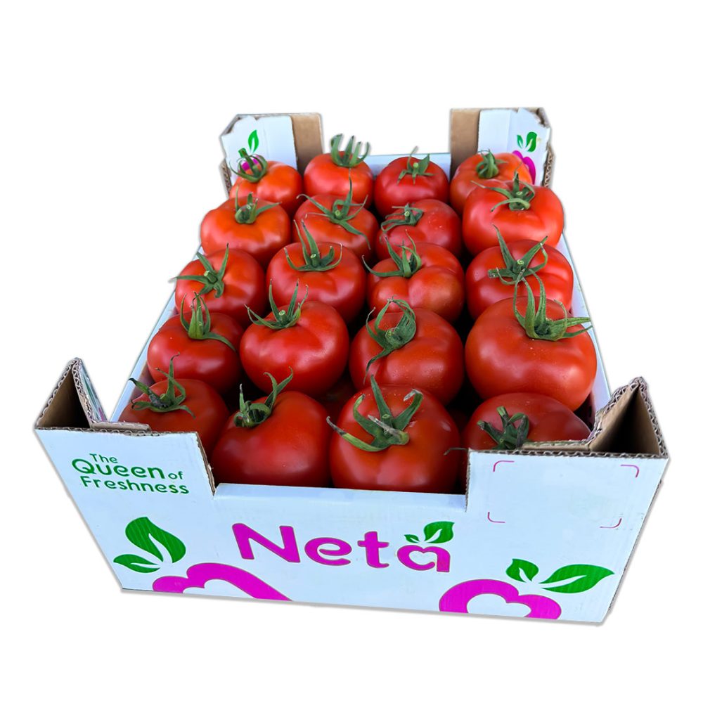 Shop Secondary Image Shop Secondary Image