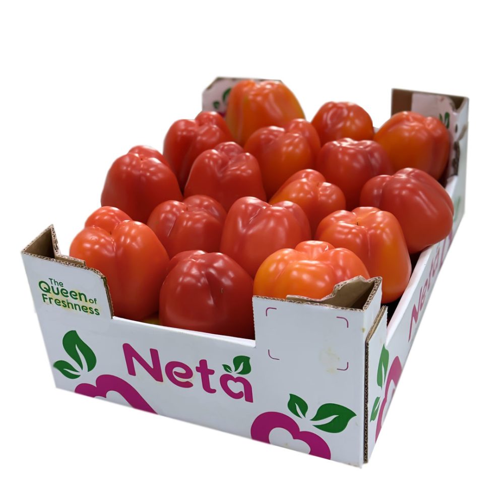 Shop Secondary Image Shop Secondary Image