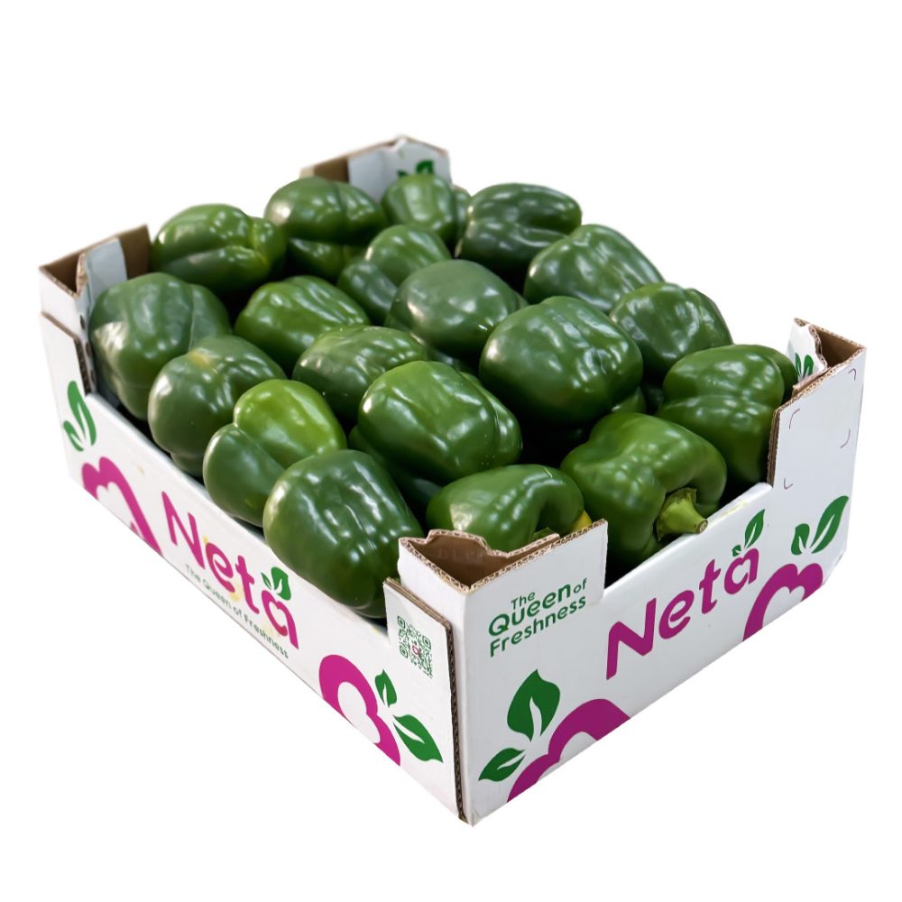 Shop Primary Image Shop Primary Image